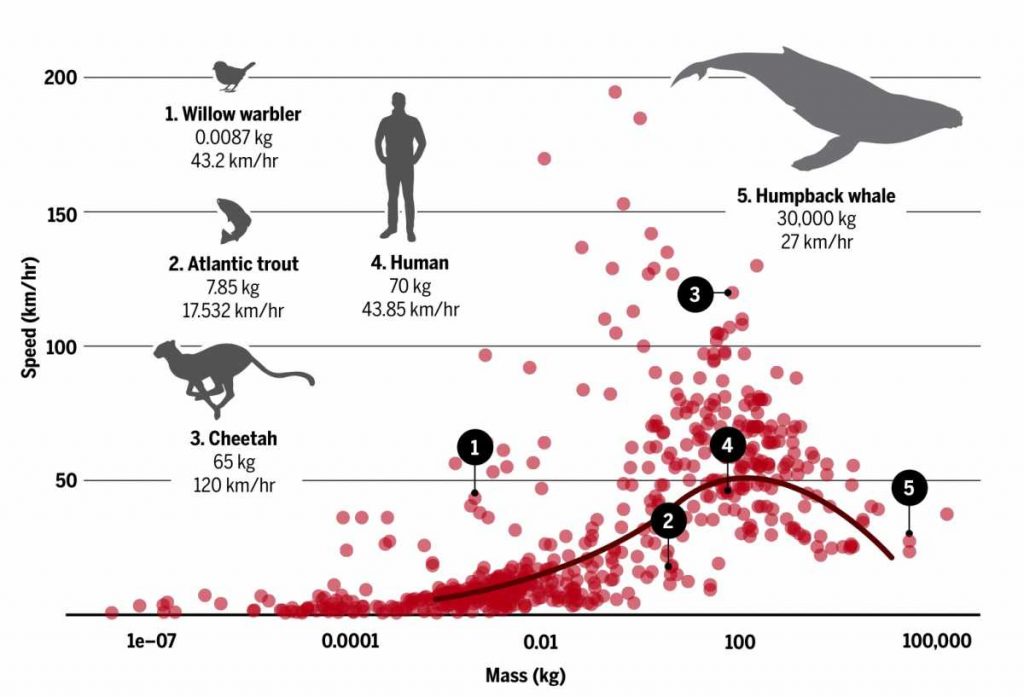 Not Boring Biology News Digest | BookwormHub.com Blog